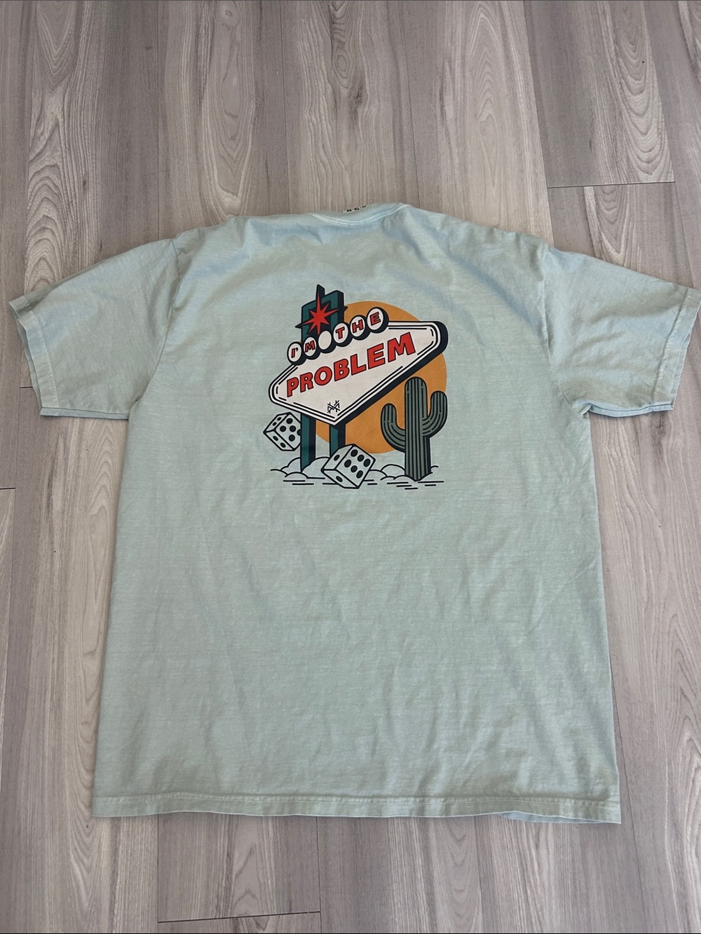 The Mad Hatter Men's Light Sage Graphic T-Shirt - 'Problem' Desert Sign